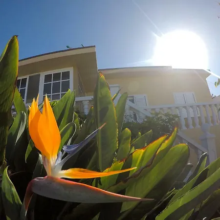 152 * Bajamar (La Laguna)